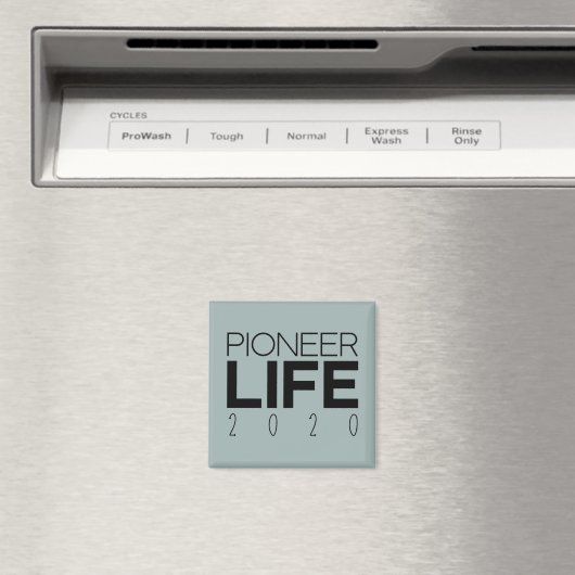 Pioneer Life 2020 Grey Blue Magneet (Insitu (Vaatwasser))