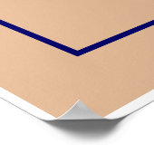 Pioneer Plaque Poster (Hoek)