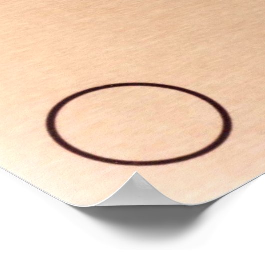 Pioneer Plaque Poster (Hoek)