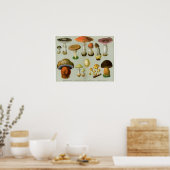 Piosonous Fungi - Paddenstoelen en paddenstoelen Poster (Keuken)