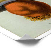 Piosonous Fungi - Paddenstoelen en paddenstoelen Poster (Hoek)