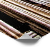 Pipe Organ Poster (Hoek)