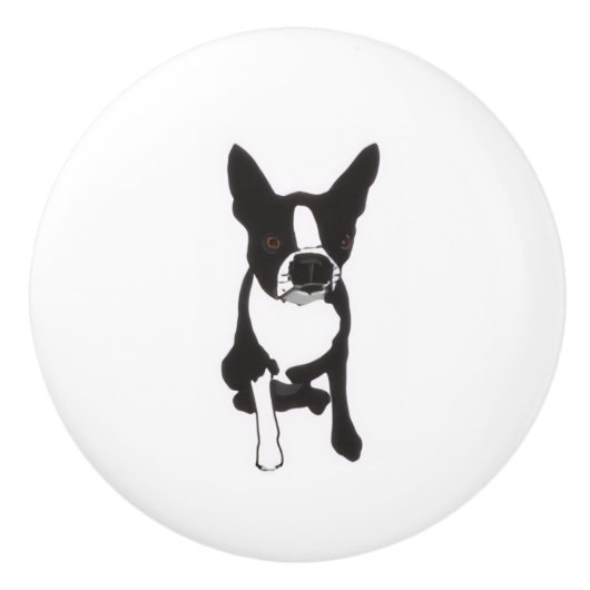 Piper Drawer Pulls Keramische Knop (Voorkant)