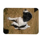 Piper Magneet (Horizontaal)