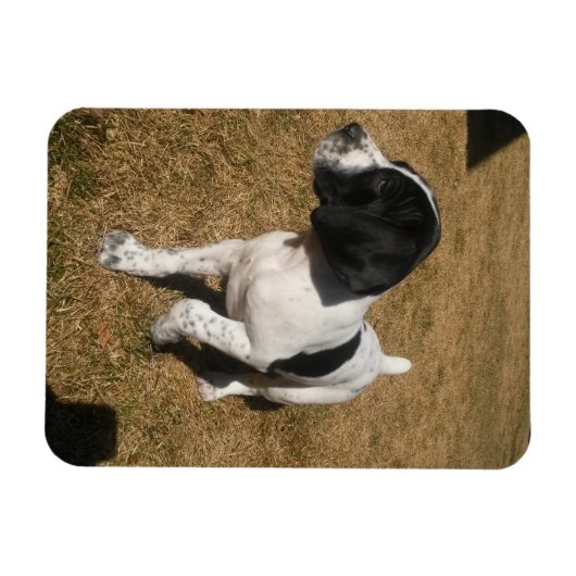 Piper Magneet (Horizontaal)