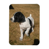 Piper Magneet (Verticaal)