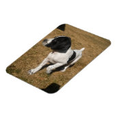 Piper Magneet (Linkerzijde)