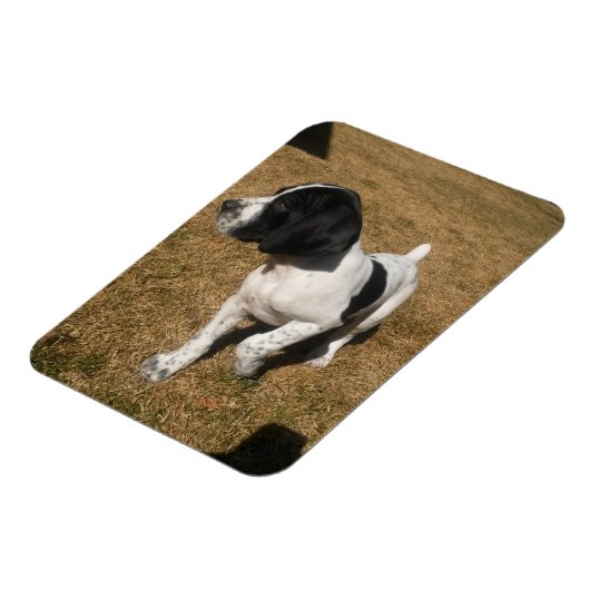 Piper Magneet (Linkerzijde)