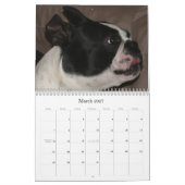 Piper & Pinocchio 2009 Kalender (Mar 2027)