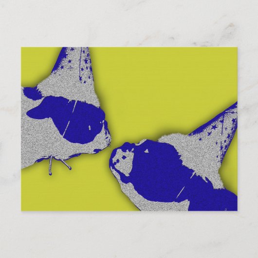 piper-pinocchio-verjaardag briefkaart (Voorkant)