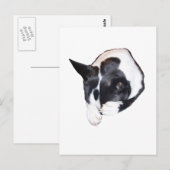 Piper - Slapen Briefkaart (Voorkant / Achterkant)