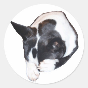 Piper - Slapen Ronde Sticker