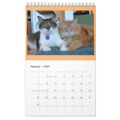 PipersPuddycats 2020 Agenda Kalender (Feb 2027)