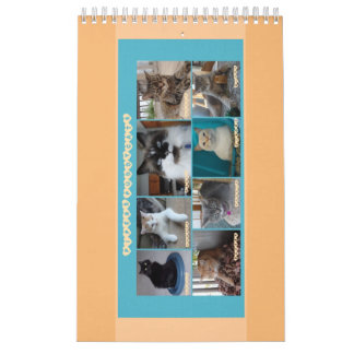 PipersPuddycats 2020 Agenda Kalender