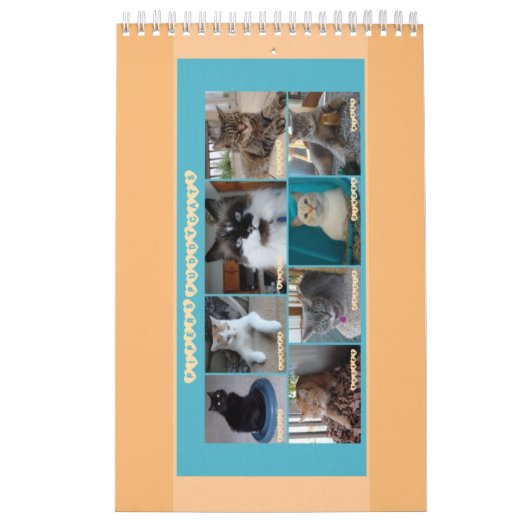 PipersPuddycats 2020 Agenda Kalender (Hoes)