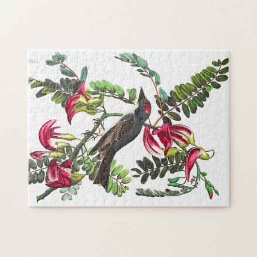 Pipetteer Flycatcher van John James Audubon Legpuzzel (Horizontaal)