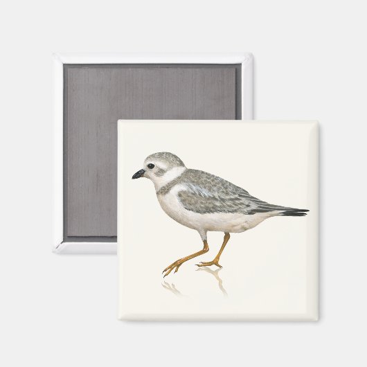 Pipetteer Magneet (Voorkant / Achterkant)