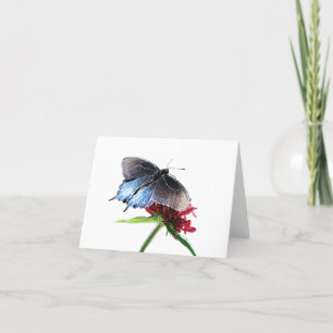 Pipevine Swallowtail Butterfly Kaart