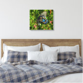 Pipevine Swallowtail Canvas (Insitu (Slaapkamer))
