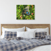 Pipevine Swallowtail Canvas Afdruk (Insitu (Slaapkamer))