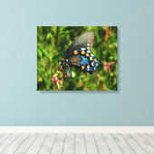 Pipevine Swallowtail Canvas Afdruk (Insitu (Houten vloer))