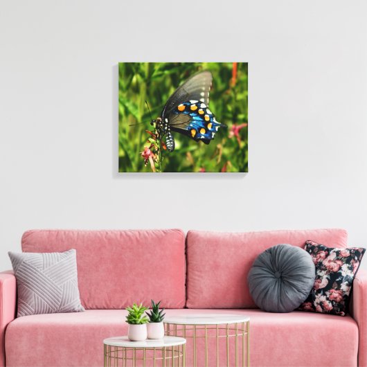 Pipevine Swallowtail Canvas Afdruk (Insitu (Woonkamer))