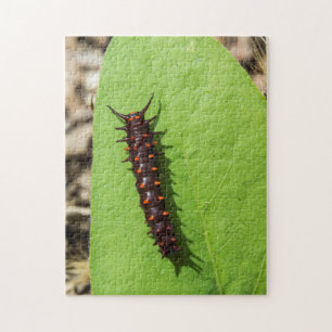 Pipevine Swallowtail Caterstyle op een lef Legpuzzel