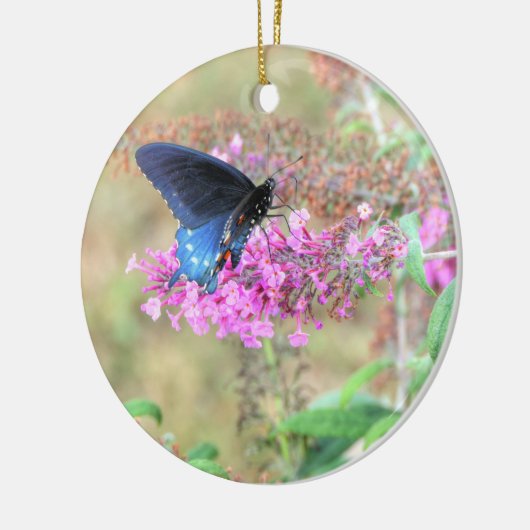 Pipevine Swallowtail on Butterfly Bush Keramisch Ornament (Links)