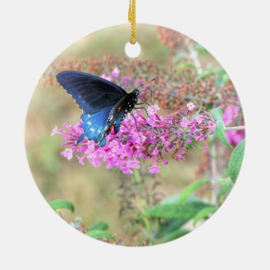 Pipevine Swallowtail on Butterfly Bush Keramisch Ornament (Achterkant)