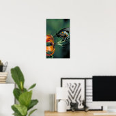 Pipevine Swallowtail Poster (Thuiskantoor)