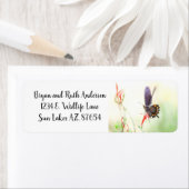 Pipevine Swallowtail-vlinder in middaglicht Etiket (Insitu)