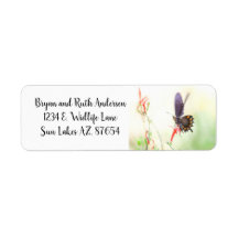 Pipevine Swallowtail-vlinder in middaglicht