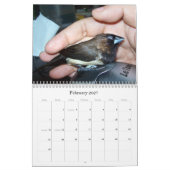 Pipi de schattige vink kalender (Feb 2027)