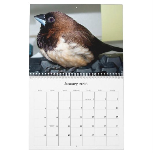 Pipi de schattige vink kalender (Jan 2026)