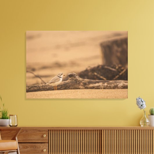 PIPING PLOVER 36 X 24 WRAPPED CANVAS PRINT (Insitu (Woonkamer))