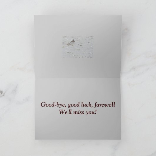 Piping Plover Afscheid van Group Kaart (Binnen)