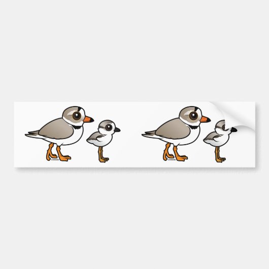 Piping Plover met kuiken Bumpersticker (Voorkant)