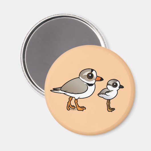 Piping Plover met kuiken Magneet (Voorkant / Achterkant)