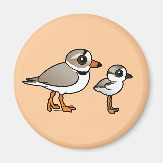 Piping Plover met kuiken Magneet (Voorkant)
