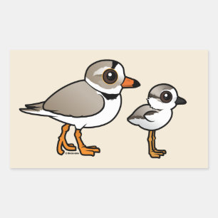 Piping Plover met kuiken Rechthoekige Sticker