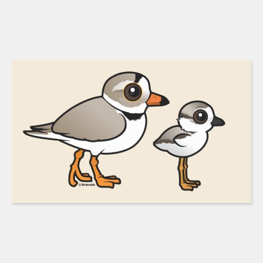 Piping Plover met kuiken Rechthoekige Sticker (Voorkant)