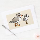 Piping Plover met kuiken Rechthoekige Sticker (Envelop)