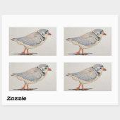 Piping Plover Sticker (Vel)