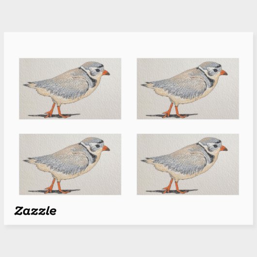Piping Plover Sticker (Vel)