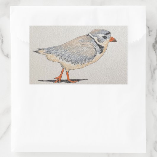Piping Plover Sticker (Tas)