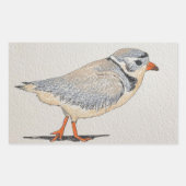 Piping Plover Sticker (Voorkant)