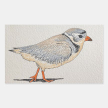 Piping Plover Sticker