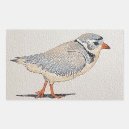 Piping Plover Sticker