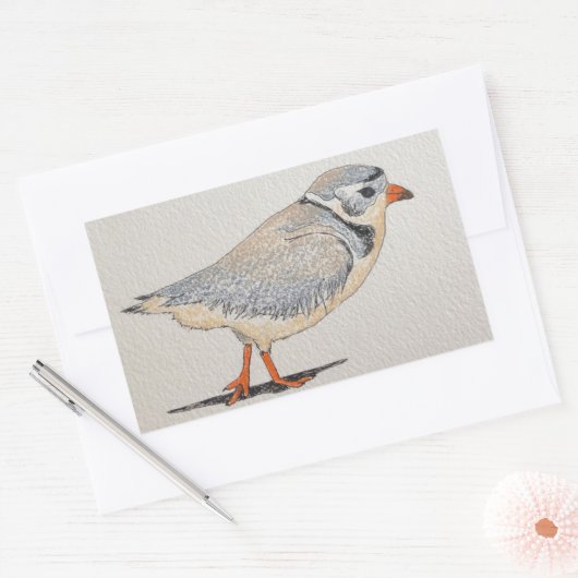 Piping Plover Sticker (Envelop)