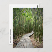 Pipiwai Trail, Nationaal Park Haleakala, Maui Briefkaart (Voorkant / Achterkant)